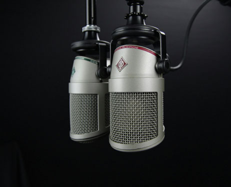 Decorative image microphones