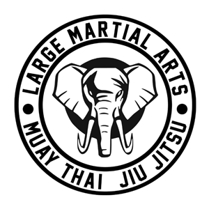 Circafit Large Martial Arts